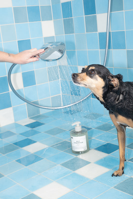 Pet Shampoo
